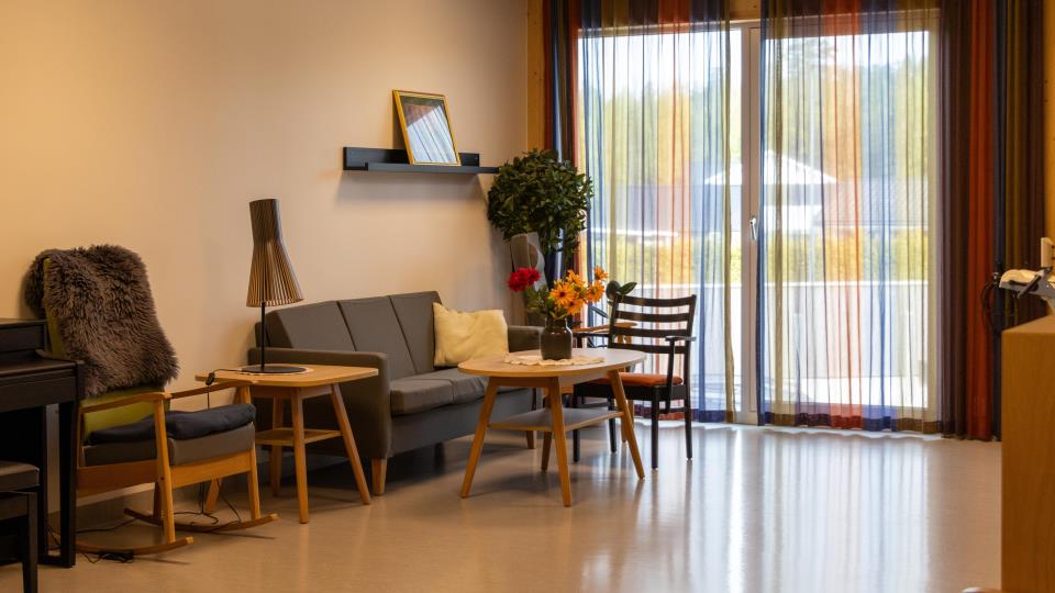 Lenke til artikkel: Fremtidens sykehjemsstruktur