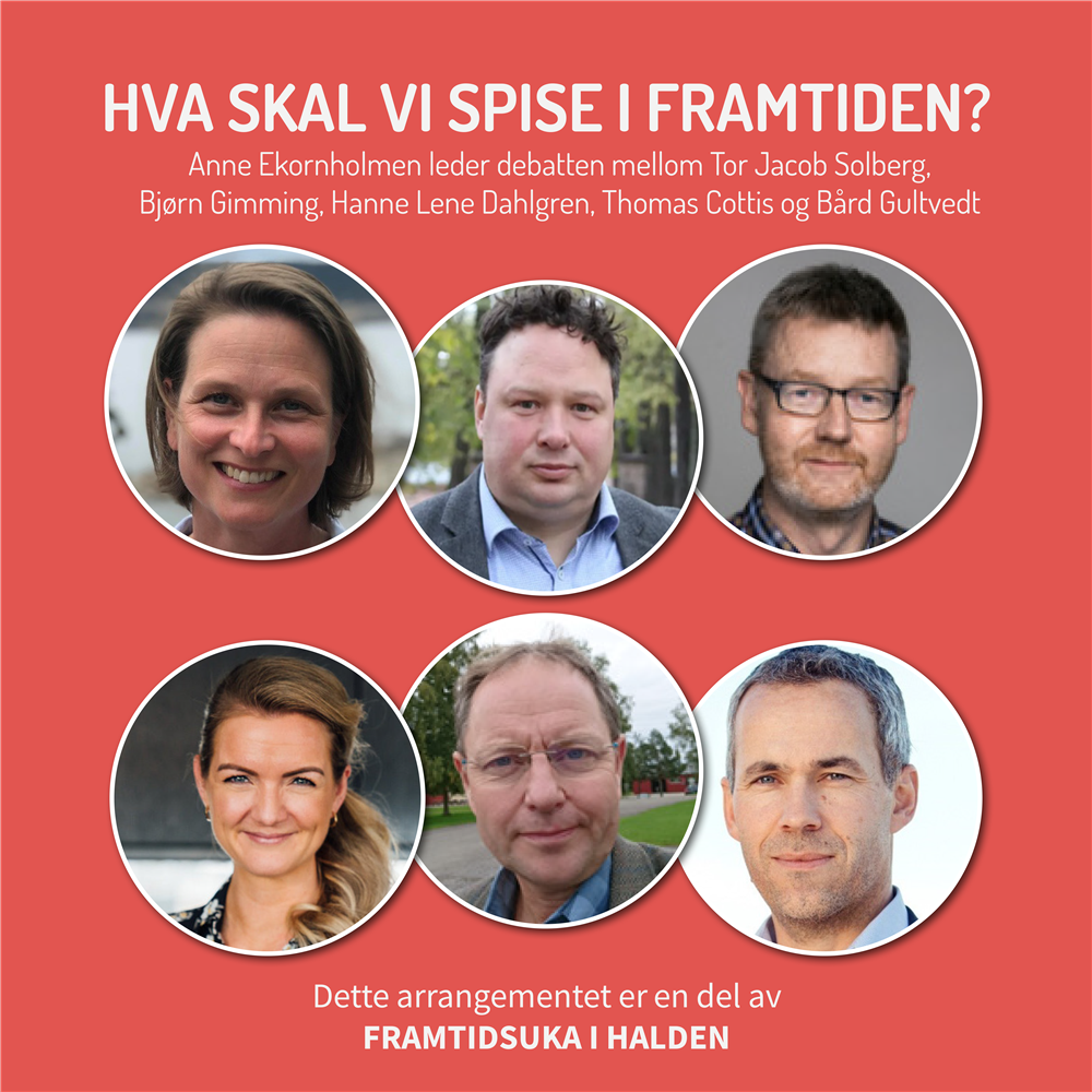 Klikk for stort bilde