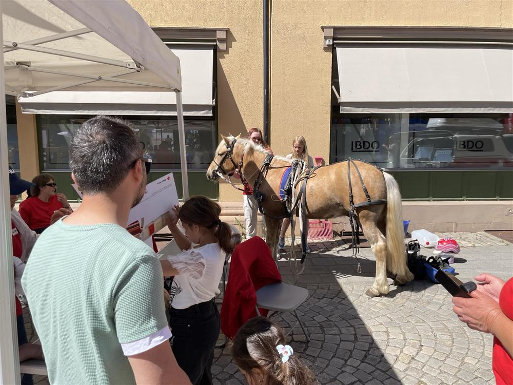 Halden Røde Kors var på plass med stor stand og besøkshesten som viste seg å ikke være Isak allikevel, men en litt større hest som fraktet mange opp og ned i Storgata gjennom hele dagen. Ved siden av dette har Halden Røde Kors mange ulike aktiviteter du kan engasjere deg i, enten det er i hjelpekorpset, som besøksvenn, våketjeneste, flerkultur og mye mer. Her kan du få en fritidsaktivitet med mening.  - Klikk for stort bilde