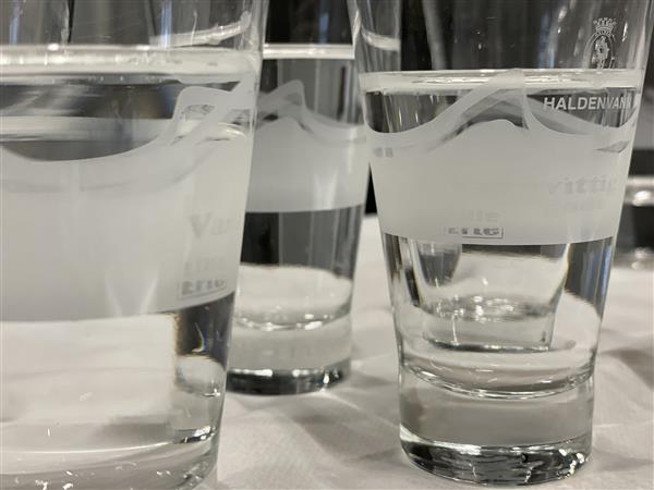 Vi ser et nærbilde av drikkeglass, med klart vann i. Det er trykket med Haldens byvåpen på siden av glasset, med ordet "Haldenvann" under.