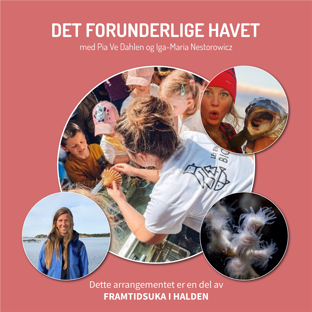 Klikk for stort bilde
