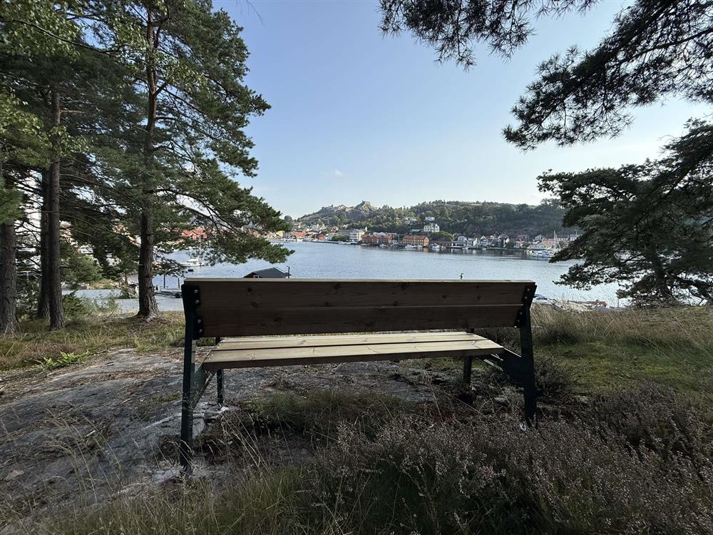 Benk plassert på utsiktspunkt - Klikk for stort bilde