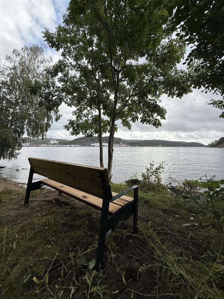 Benk plassert på utsiktspunkt - Klikk for stort bilde