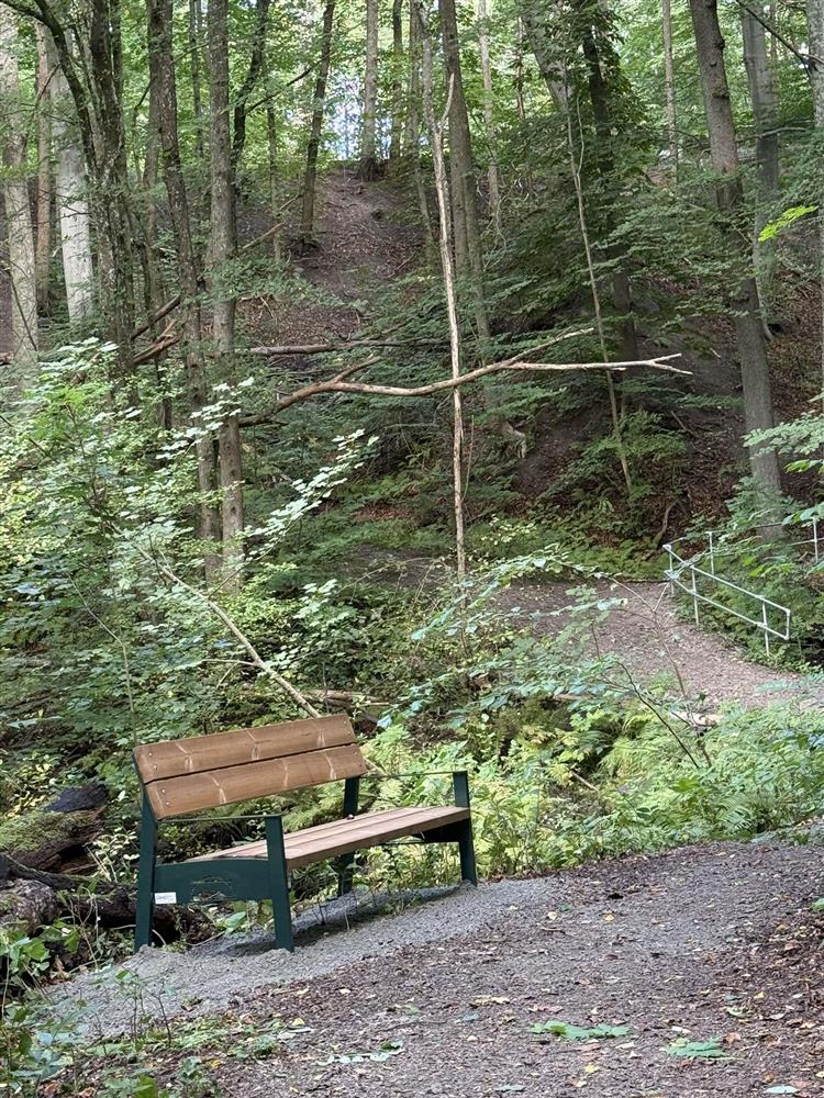 Benk plassert i Schultzedalen - Klikk for stort bilde