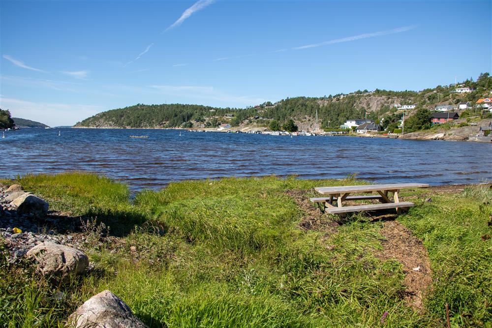 En trebenk som står på gress med vann i bakgrunn, med blå himmel. - Klikk for stort bilde