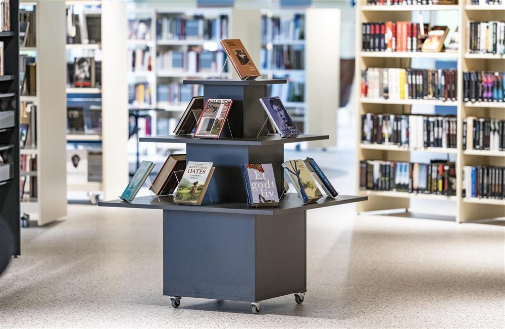 Slik ser det ut inne på biblioteket - Klikk for stort bilde