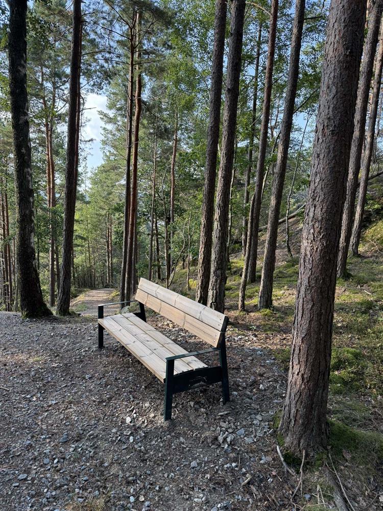 Klikk for stort bilde