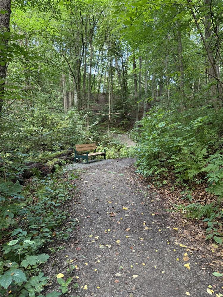 Klikk for stort bilde