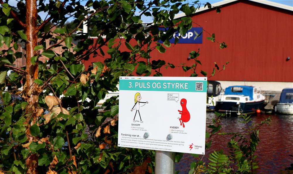 Bilde av ett av 12 skilt med forslag til aktivitet - Klikk for stort bilde